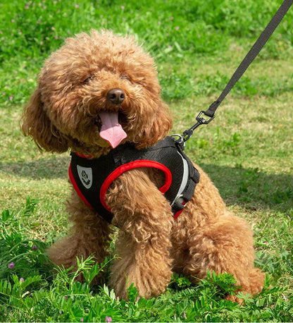 Dog Harness Vest Set for Small Medium Dog Harness Leash Puppy Cat Vest Harness Puppy Pet Kitten Leads Reflective Cats Collar