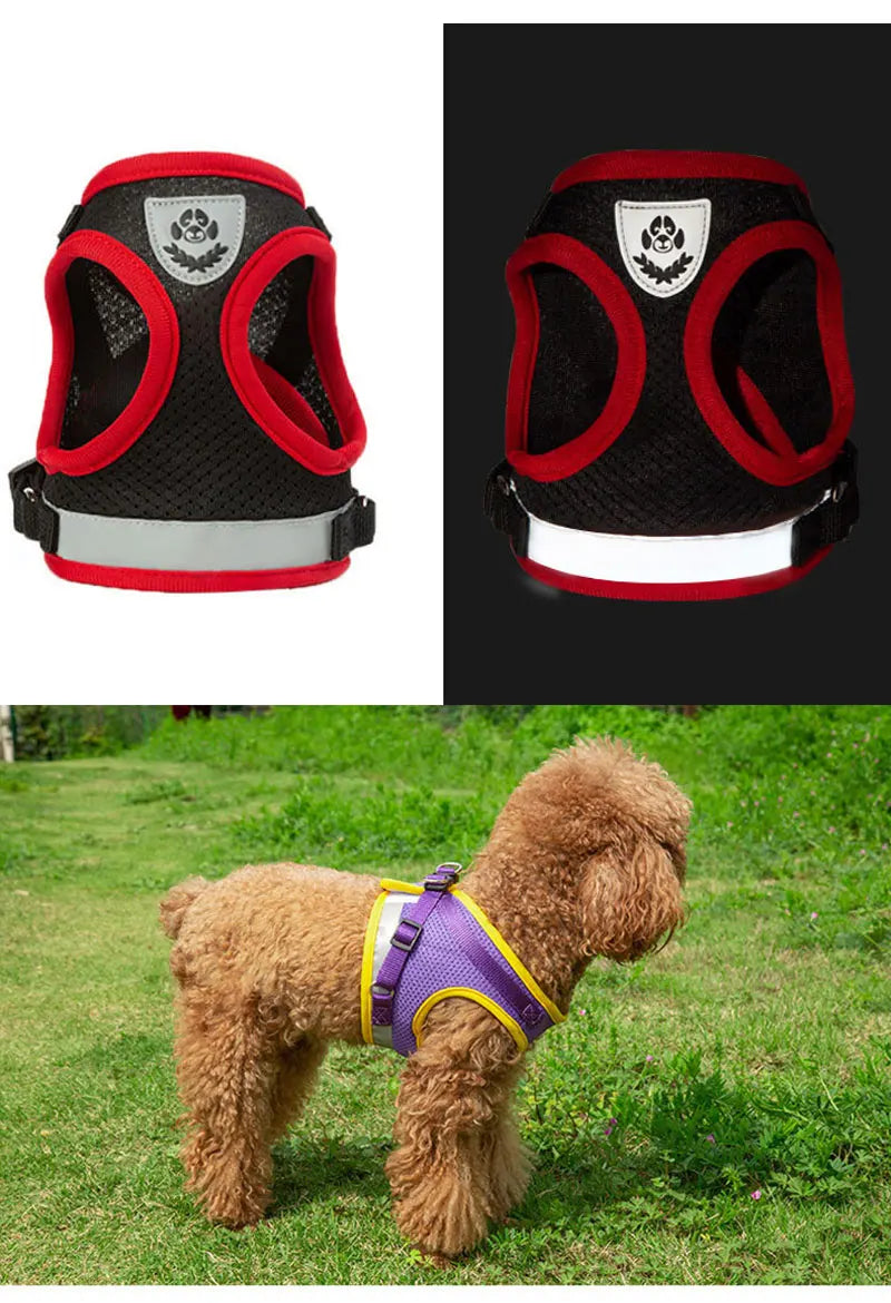 Dog Harness Vest Set for Small Medium Dog Harness Leash Puppy Cat Vest Harness Puppy Pet Kitten Leads Reflective Cats Collar