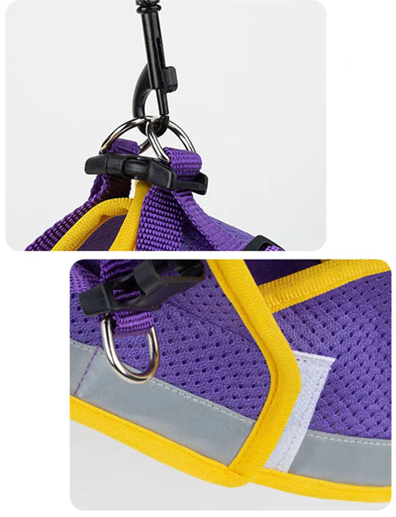 Dog Harness Vest Set for Small Medium Dog Harness Leash Puppy Cat Vest Harness Puppy Pet Kitten Leads Reflective Cats Collar