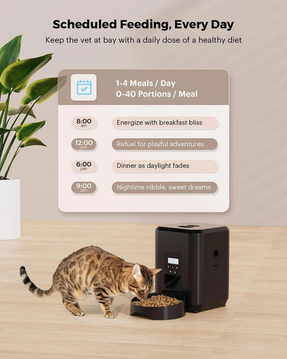 2L Pet Feeder Timing Smart Automatic Dog Pet Feeder For Cats Dog Button WIFI APP Intelligent Dry Food Dispenser Dog Bowl