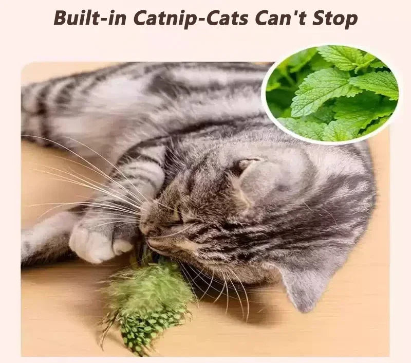 Indoor Interactive Birds Toy for Cat Chasing Teasing Toy Sounding Catnip Cat Teaser Toy Self-hilarity Wall Hanging Birds Cat Toy