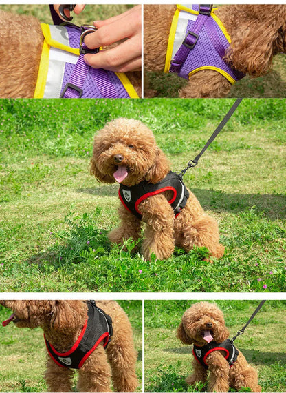 Dog Harness Vest Set for Small Medium Dog Harness Leash Puppy Cat Vest Harness Puppy Pet Kitten Leads Reflective Cats Collar